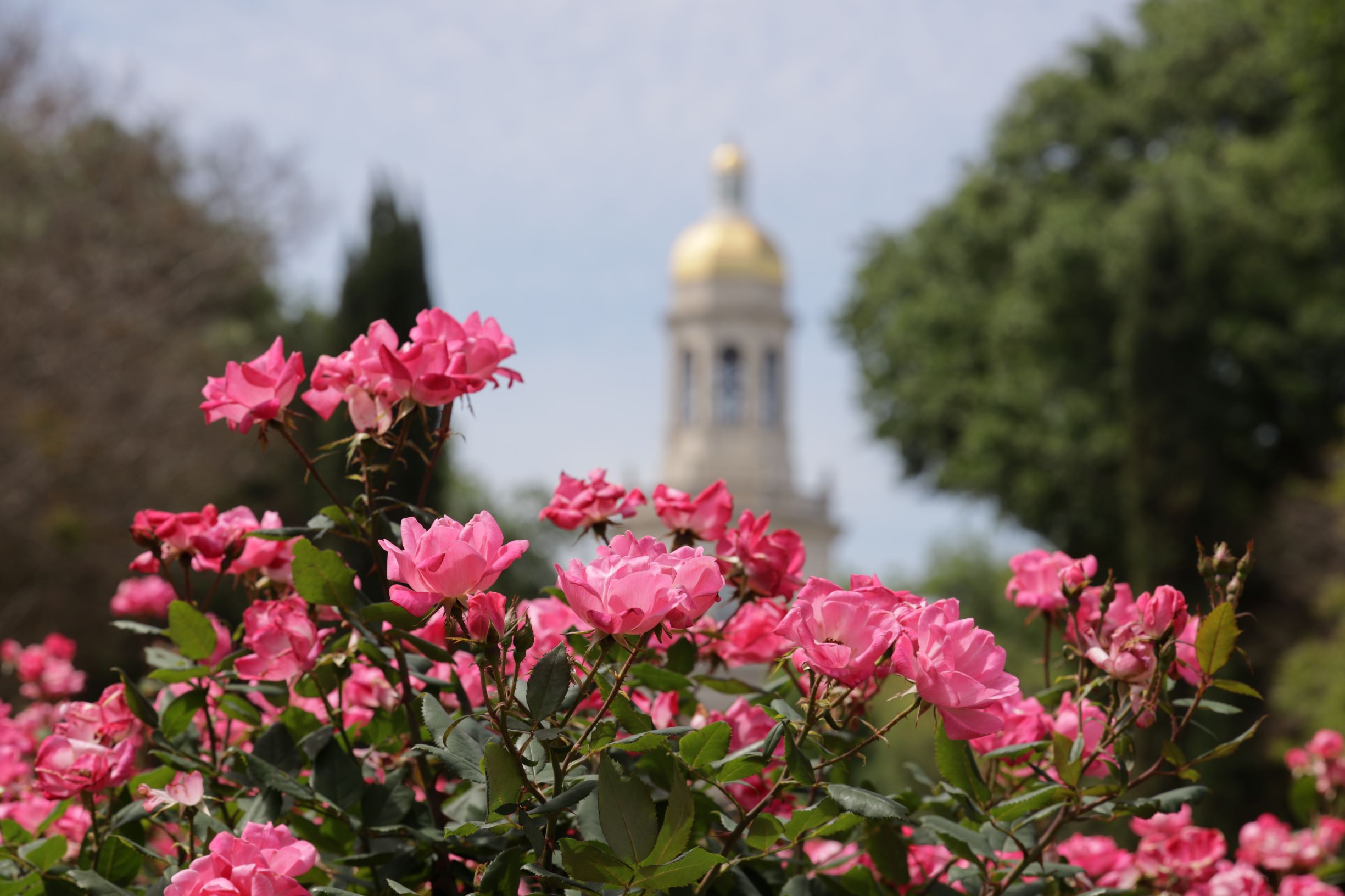 Baylor Board of Regents Approves Autism Center Construction, New Student Regent - Vimarsana News