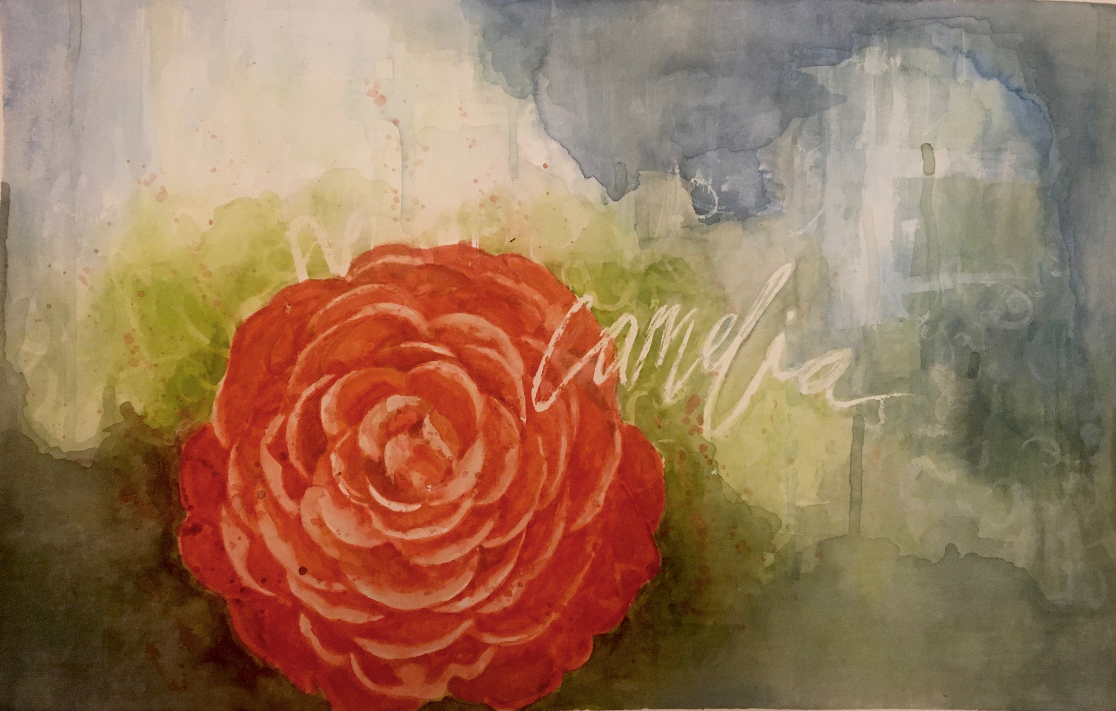 Painting of a Camelia