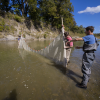 Baylor Research Earns Ecological Society of America Honors