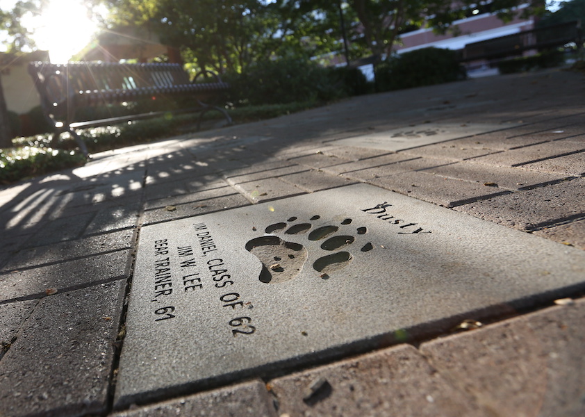 Bricks and Pavers