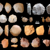 Study Offers Earliest Evidence of Humans Changing Ecosystems with Fire