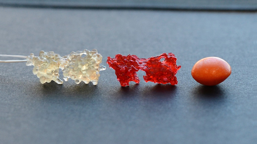 Baylor Study Uses Candy-like Models to Make STEM Imagery Accessible to Students with Visual Impairment via Mouth - Vimarsana News