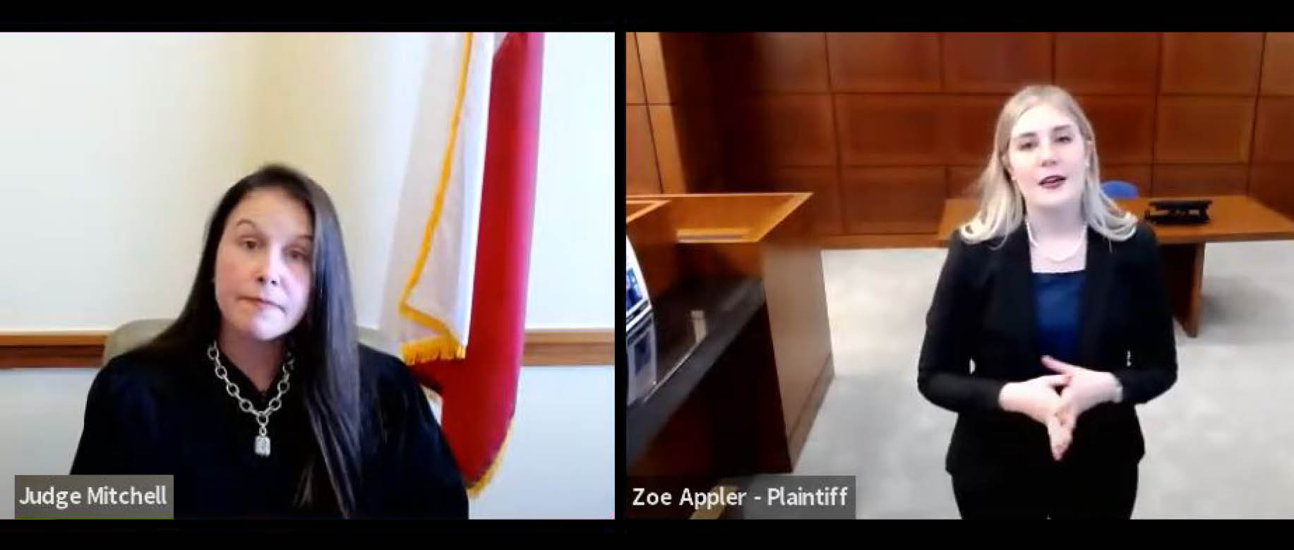 Screenshot of Judge Mitchell and Zoe Appler in a virtual courtroom