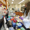 Preparing Undergrads for High-Level Research