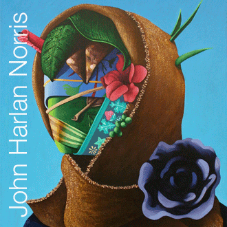 John Harlan Norris: Portrait Procedures