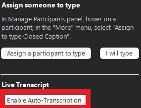 Enable Auto-Transcription button