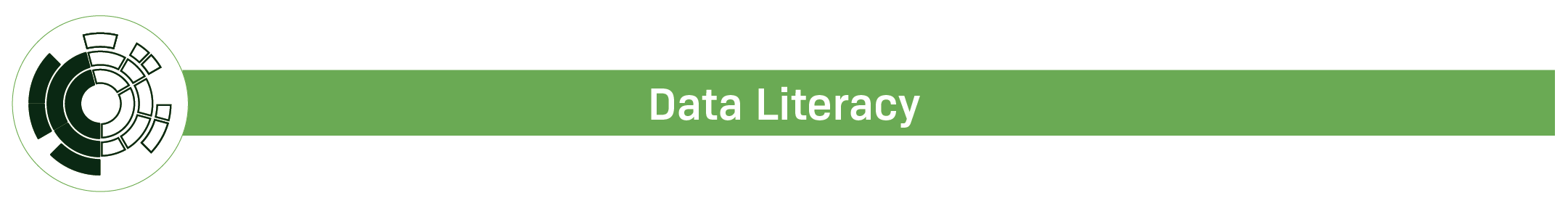 Data Literacy badge