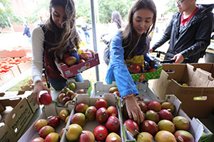 Downtown Farmer's Market