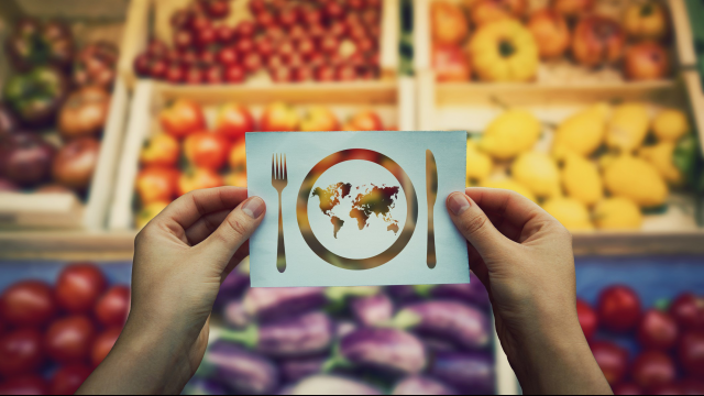 Snee Family Chair in Food Security