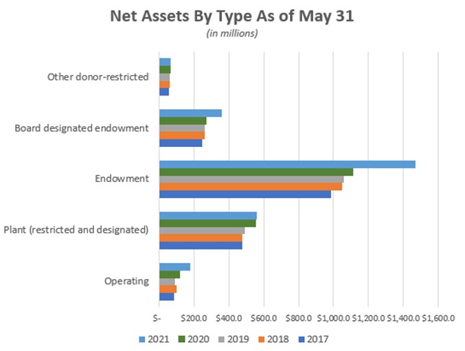 Graph Net Asset by Type