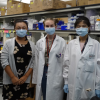 MD Anderson Internship Places Honors Program Students at the Forefront of Cancer Research