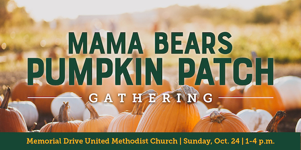 Pumpkin Patch