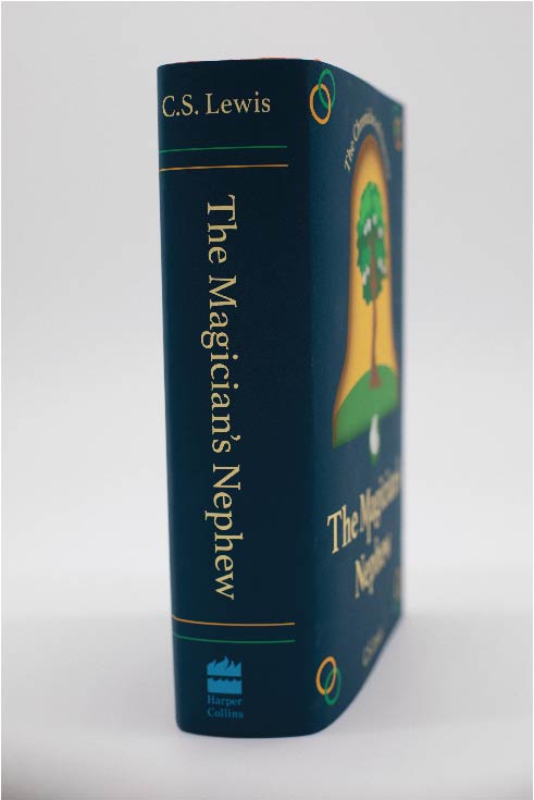 Taylor Fay Sanchez, Book Jacket (Side View), Digital Media, 2021, 9.33in. x 22in.
