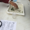 CRASR Outreach - Connally Junior High