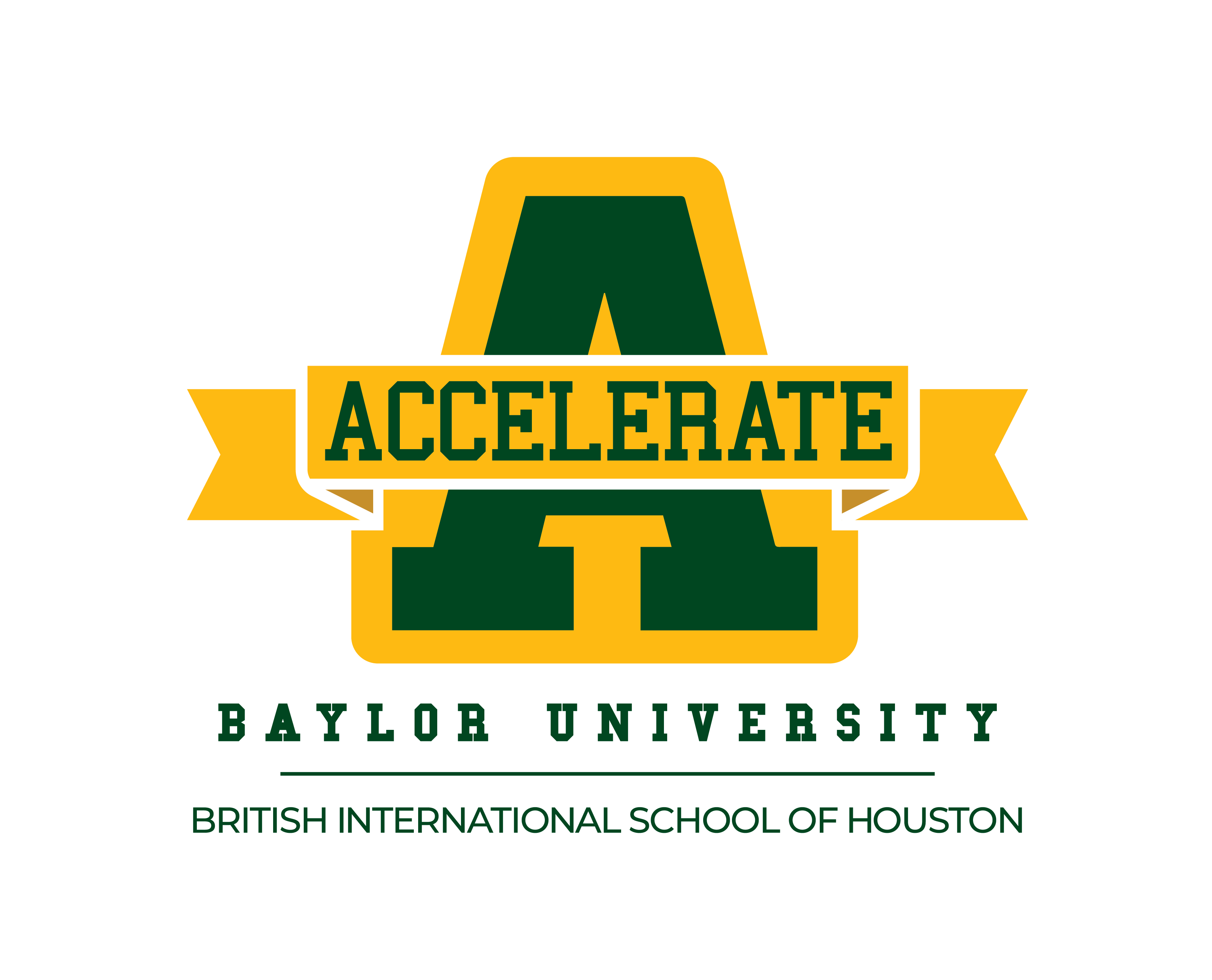 Accelerate Program - BIS Houston