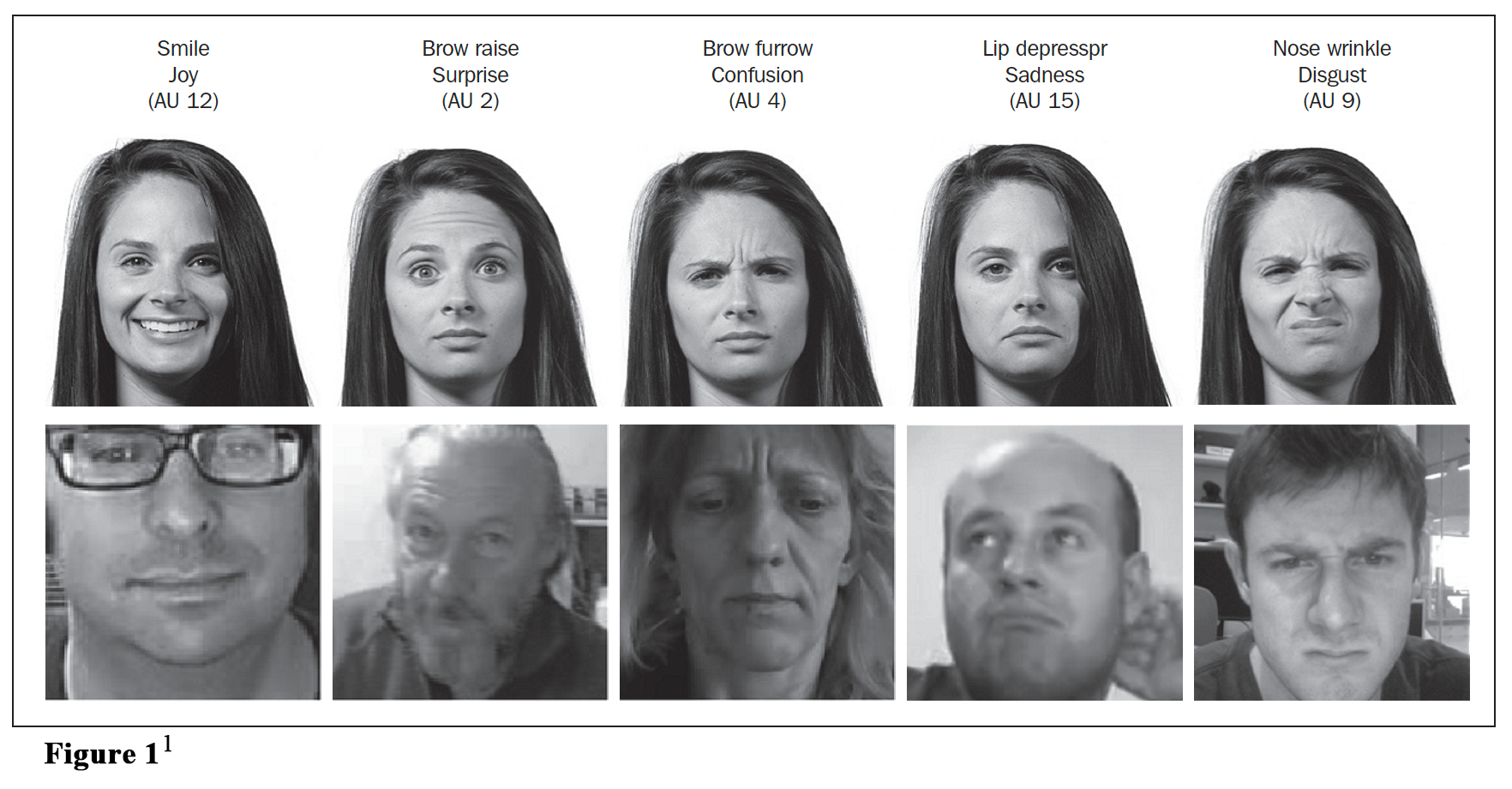 Graphic indicating different types of facial expression of smile, brow raise, brow furrow, lip depressor and nose wrinkle
