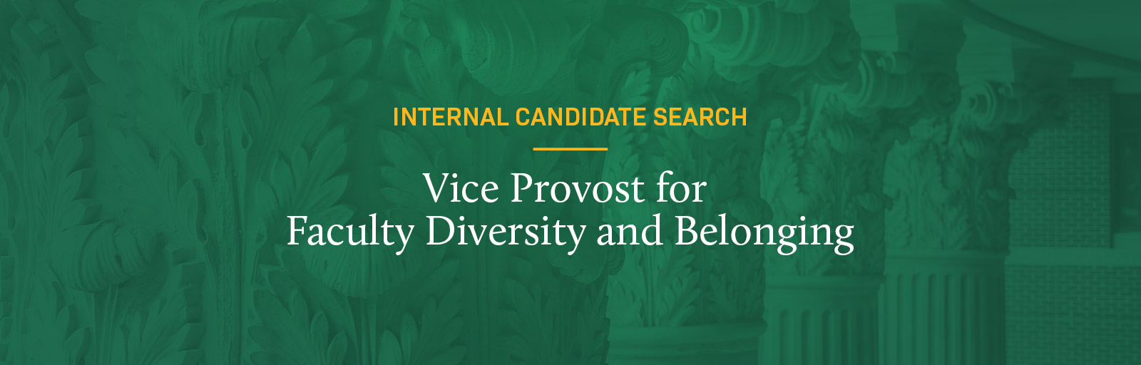 Vice Provost for  Faculty Diversity and Belonging Internal Candidate Search