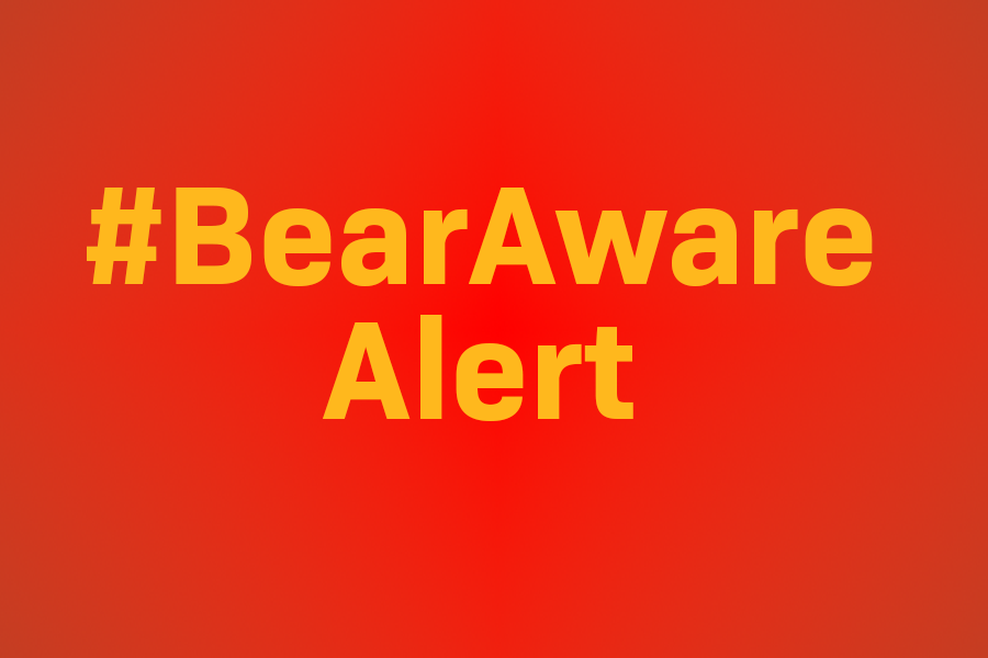 BearAware Alert