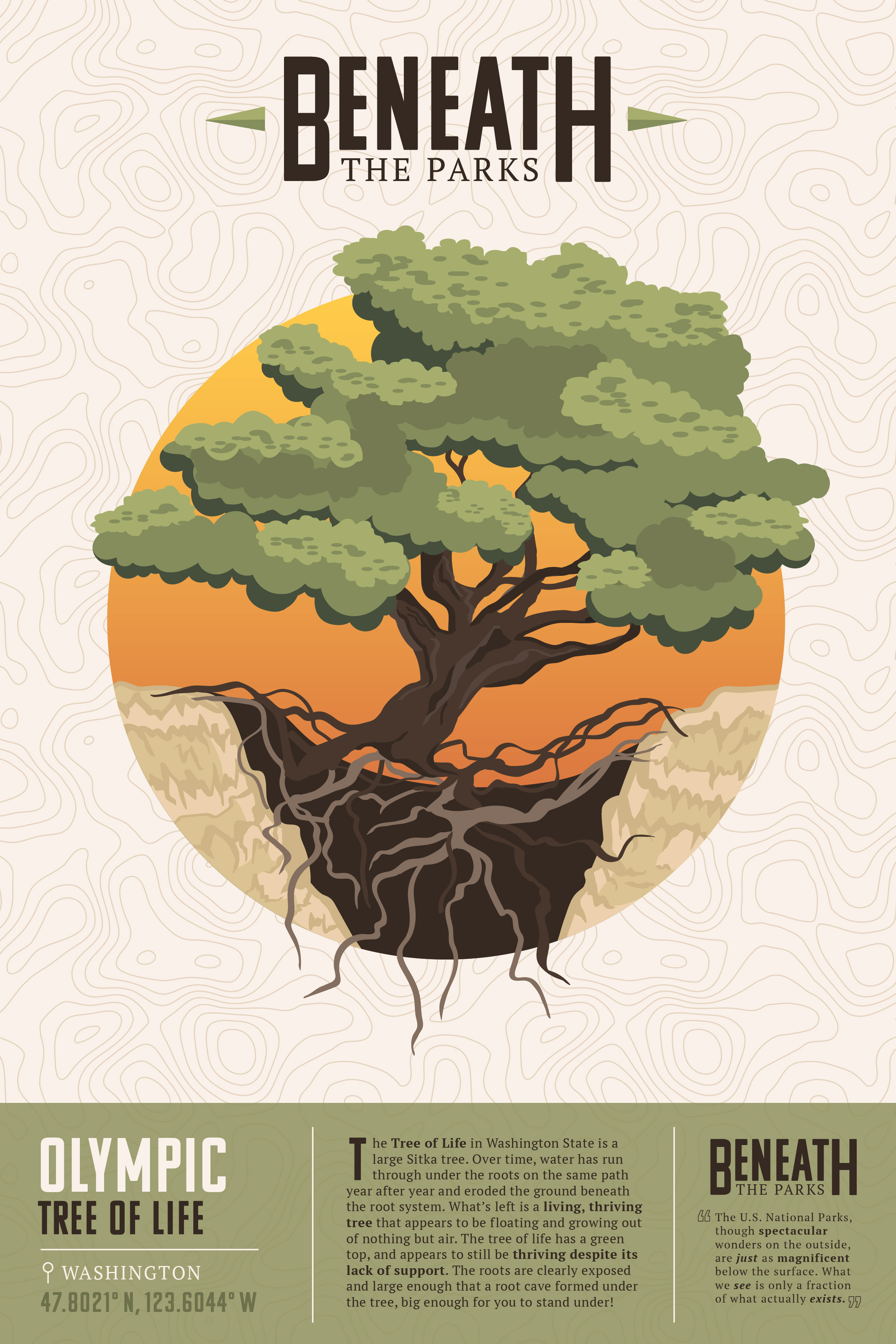 Beneath the Parks: Olympic National Park Poster<br>2022<br>Epson InkJet Print<br>24 x 16