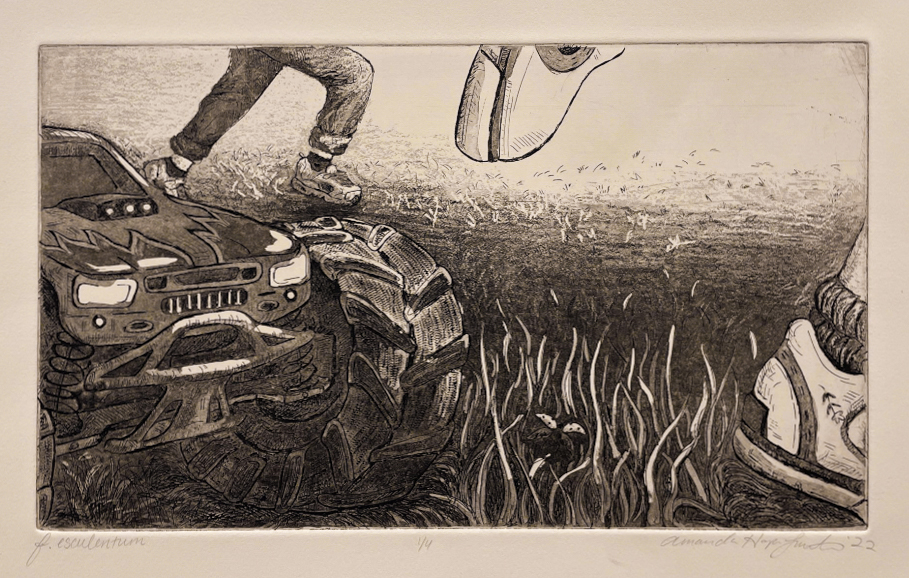 F. esculentum<br>2022<br>Etching, Aquatint<br>7 x 12