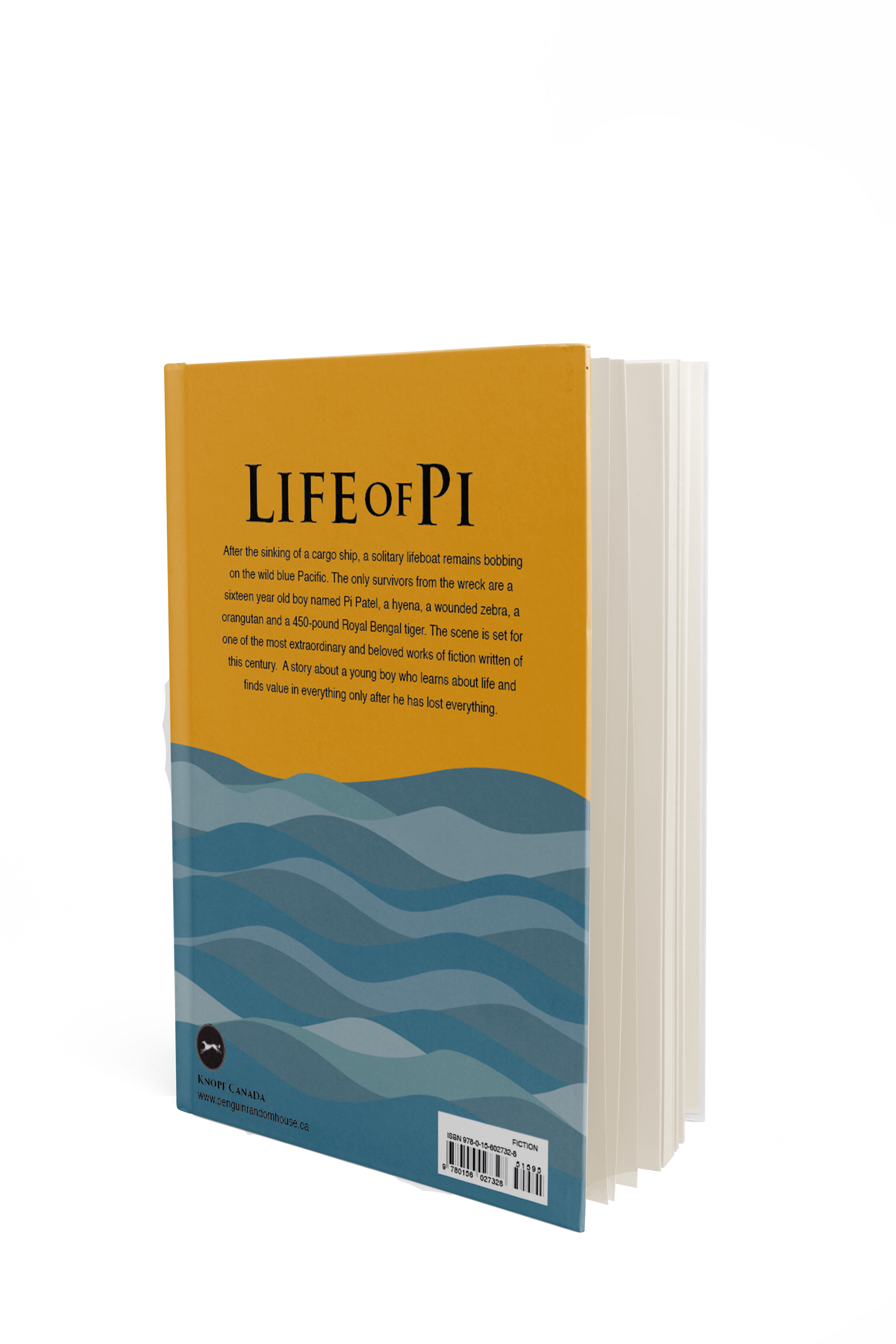 Life of Pi Book Jacket Back<br>2022<br>EPSON Inkjet Print<br>8.5 x 19.5