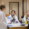 The Honors College Launches  Undergraduate Research Assistant Program
