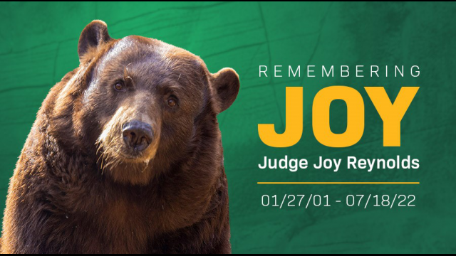 Remembering Judge Joy Reynolds