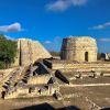 Collapse of Ancient Maya City May Be Linked to Drought in 13th, 14th Centuries