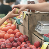 For Immediate Release: Baylor Collaborative on Hunger and Poverty Responds to 2021 Household Food Security Report