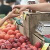Texas Roots, Global Vision for a World Without Hunger