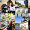 Baylor Celebrates National Research Administrator Day Amid R1 Achievement