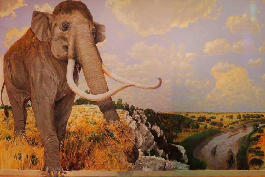 More Mammoths? Yes, Please