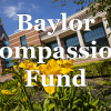 Baylor Family Compassion Fund
