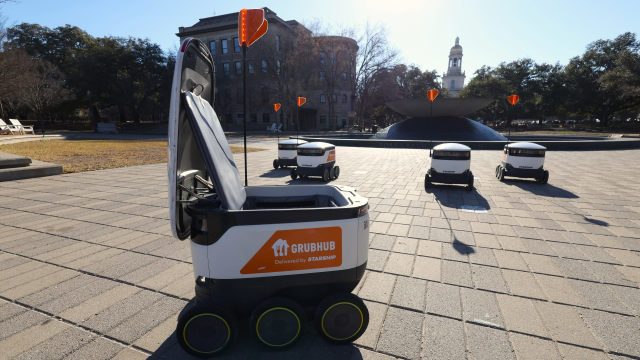 Robot food delivery service