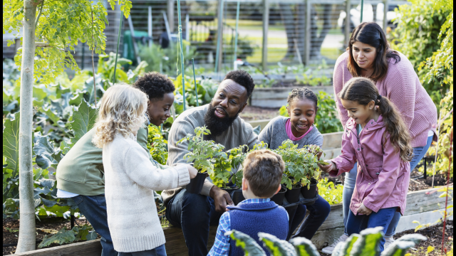 Community Garden