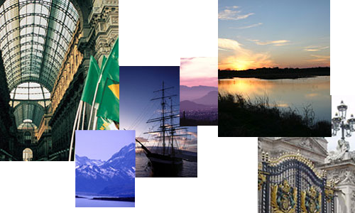 collage